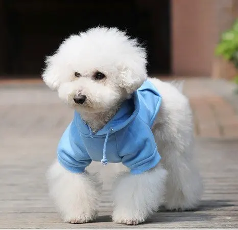 

Plain Colors Dog Hoodies Pets Sports Tracksuit Puppy Cat Sweatshirt 7 Colours