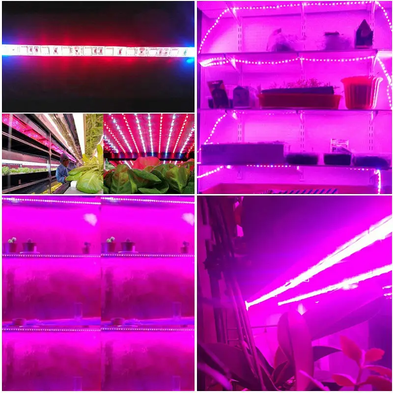 Фитолампа ReBlue для выращивания растений Led лампа полного спектра