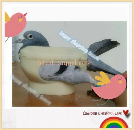 A01 Hewan Peliharaan Burung Merpati Balap Untuk Dove Produk