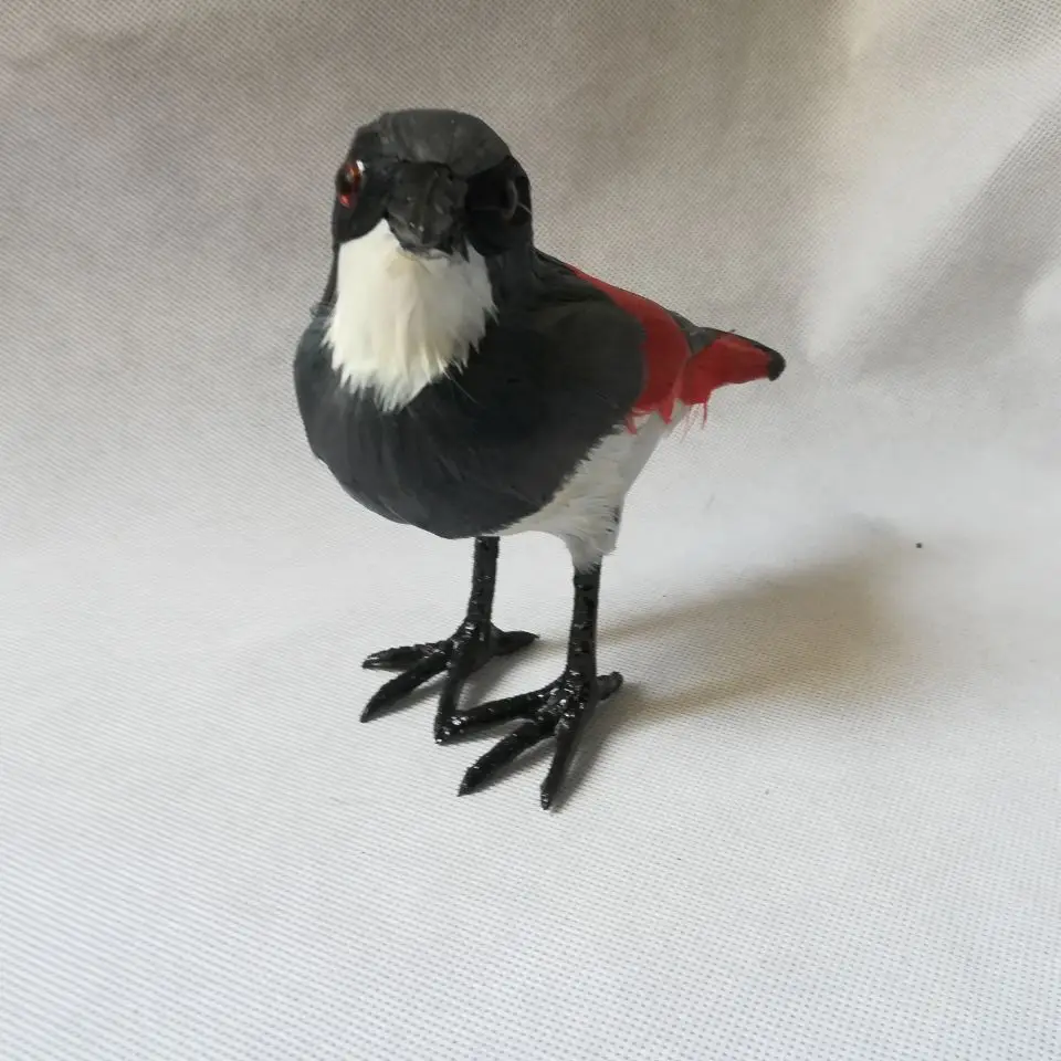 Реальная жизнь игрушка Shrike птица около 17x15 см модель пластик и перья птица МОДЕЛЬ домашний декор реквизит, модель подарок d2549