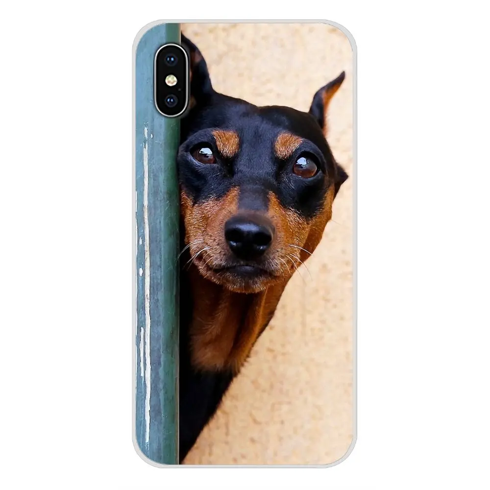 Аксессуары чехлы для телефонов Чехлы Doberman Pinscher dog Samsung Galaxy J1 J2 J3 J4 J5 J6 J7 J8 Plus 2018 Prime