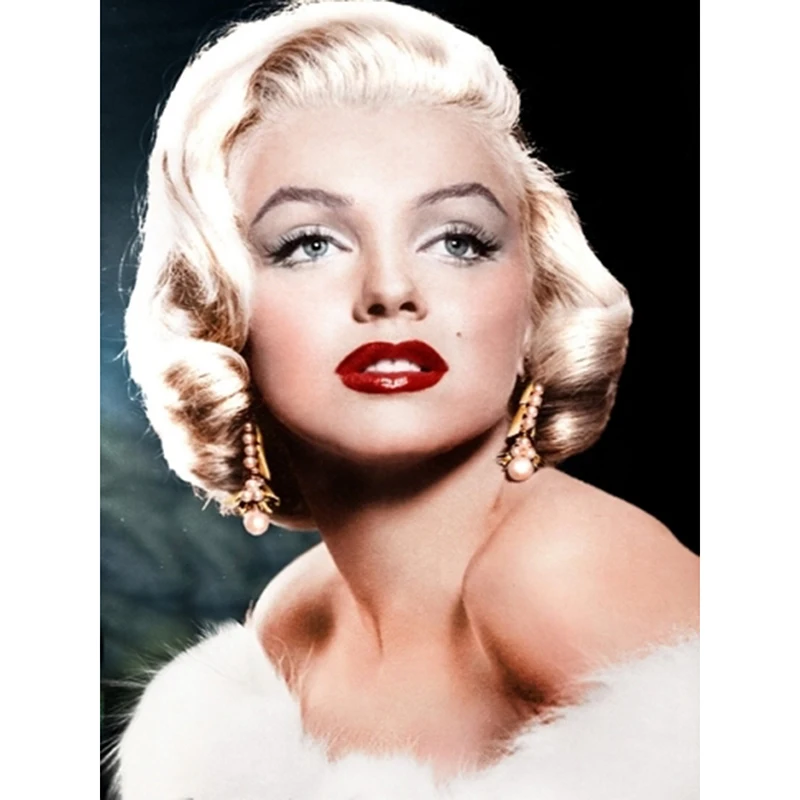 5d diy diamond painting cross stitch diamond mosaic round drill full