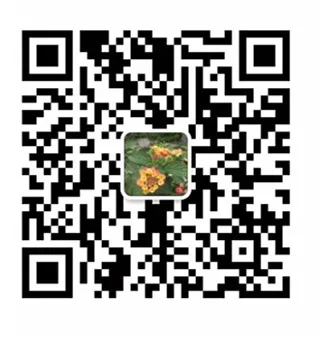 _20190306160109