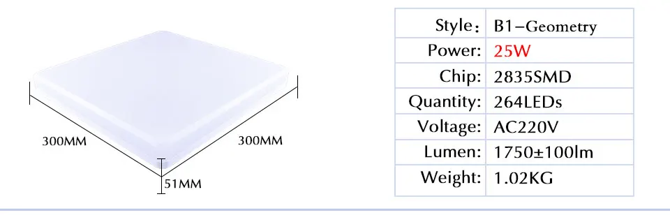 LED Ceiling light (9)
