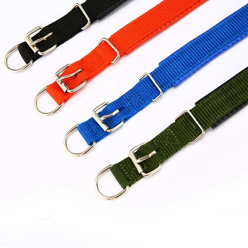 dog collar for dogs (6)