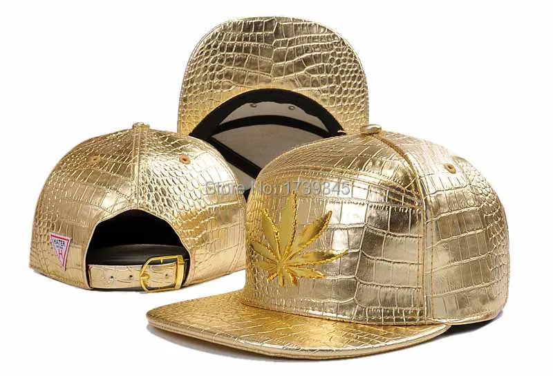 hater gold snapback