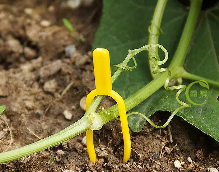 50pcs! Plastic Plant climbing Support Clips Plant vine holder for Flower Strawberry seedling Tomato Garden Buildings supplies 50pcs! Plastic Plant climbing Support Clips Plant vine holder for Flower Strawberry seedling Tomato Garden Buildings supplies