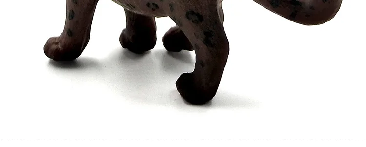 -2--DW-M-LP531-535_10