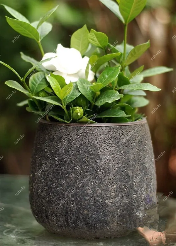 20191008_174320_124
