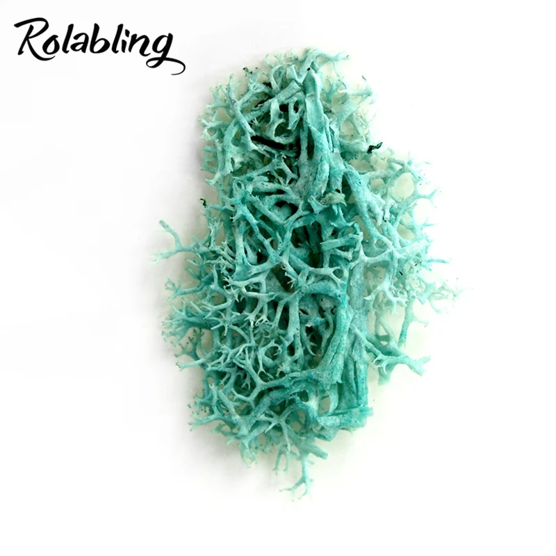 

Rolabling 1 Bag Water Plants 4 Color Choice Seaweed Decoration Accessories Nail Art Manicure Tools