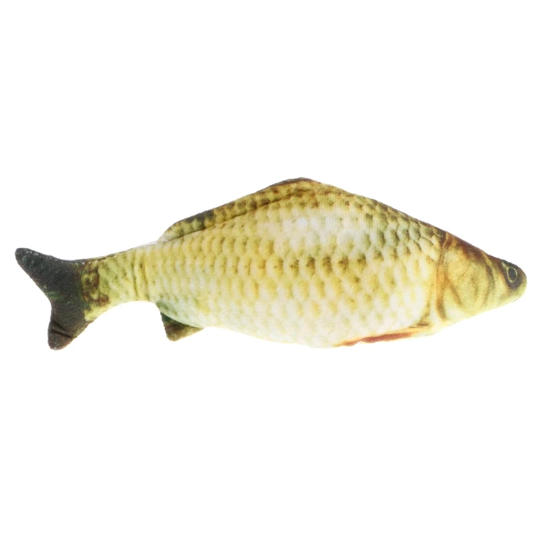 Hewan Peliharaan Lucu Grass Carp Hewan Peliharaan Kucing Anak
