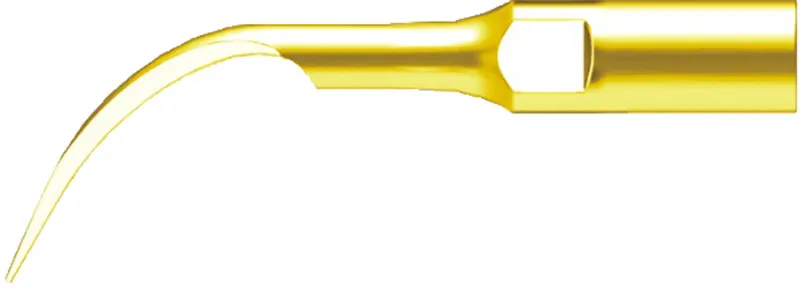 PD1T (2)