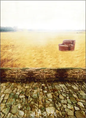 

300cm*300cm Vinyl Custom Photography Backdrops Prop Digital Photo Studio Background  S-5726