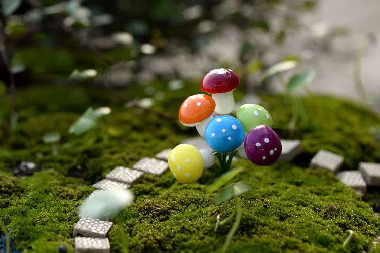 miniature mushrooms for sale