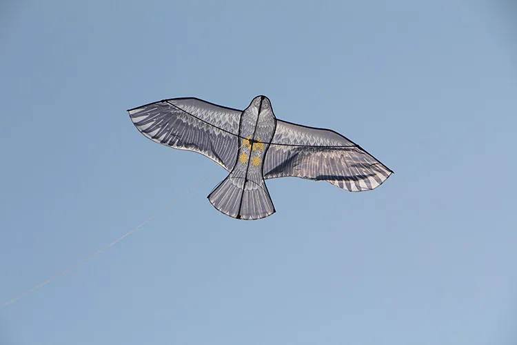 HTB1EZgvMVXXXXbCXpXXq6xXFXXXY