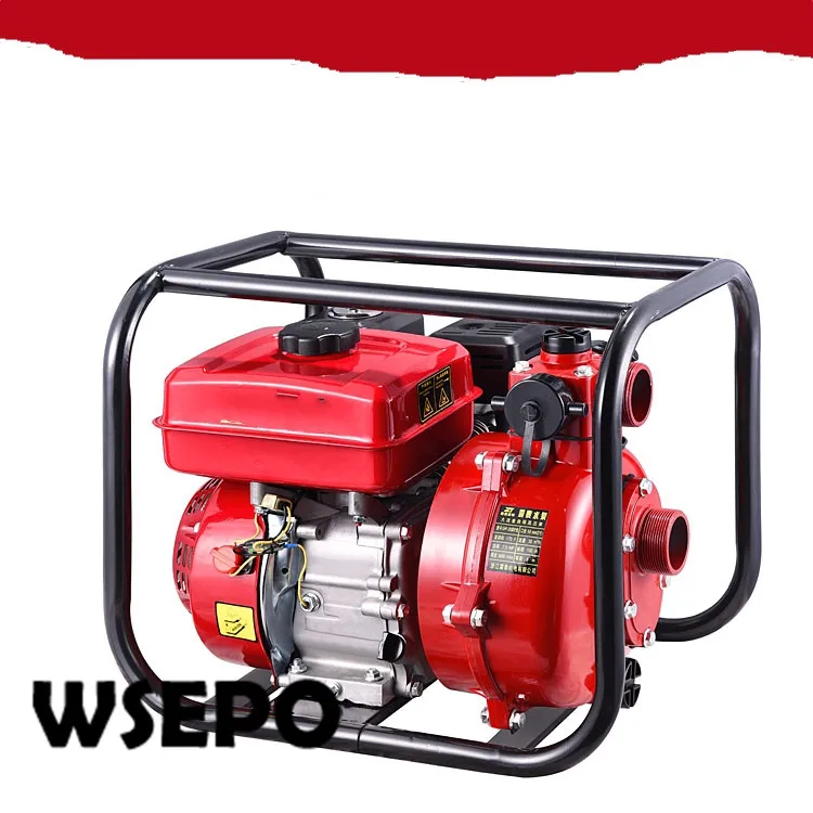 double impeller pump-110m-1