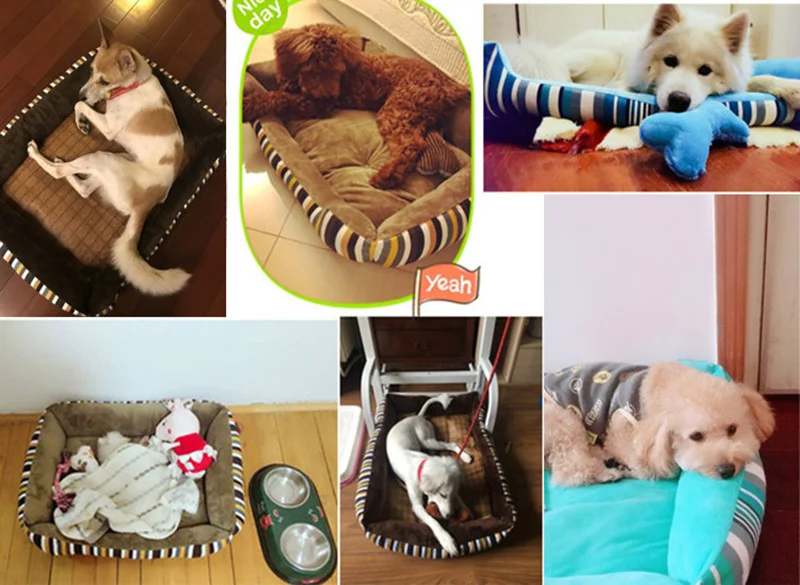 dogs beds nest