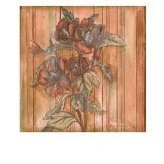 Woven Whimsey II Poster Print by Jennifer Goldberger (13 x 19)