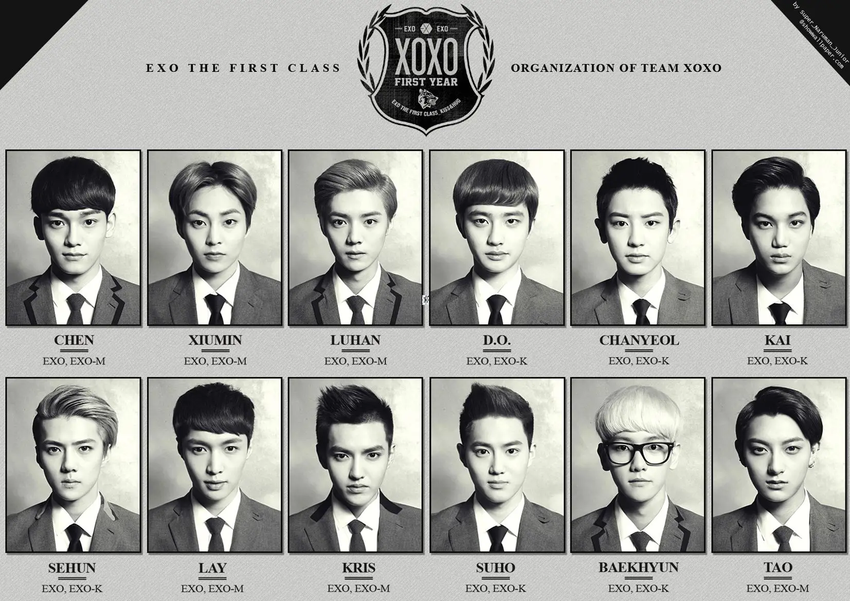 EXO Posters XIUMIN,BAEKHYUN,CHANYEOL,SEHUN,SUHO,LAY,CHEN,D.O.,KAI Posters Clear Picture For EXO's fans - Цвет: W058