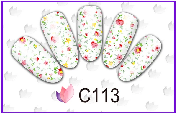 C113