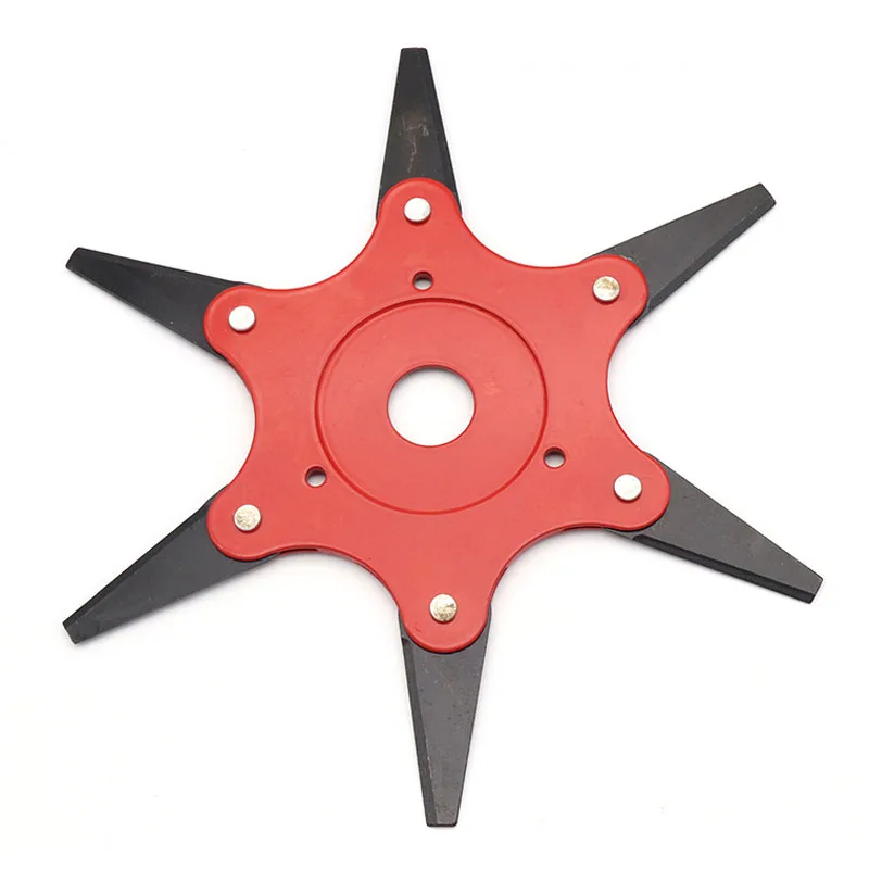 11482435203_474776990