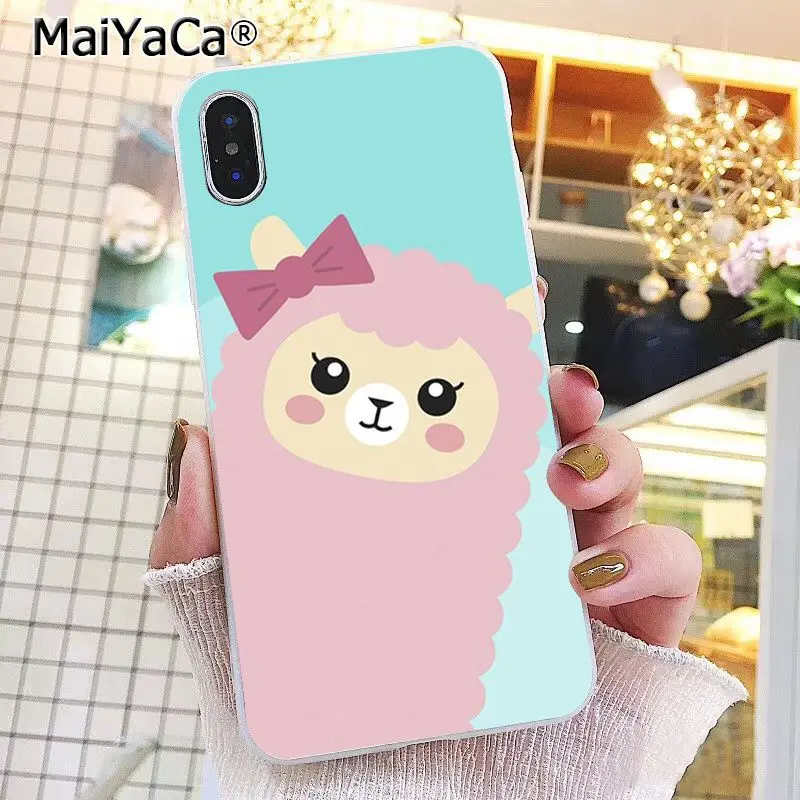 Lama Llama Alpacas Animal