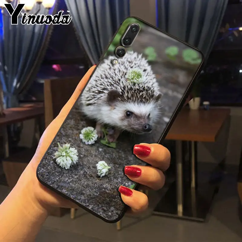 Hedgehog ride a bike Cute in Teacup Animal Art