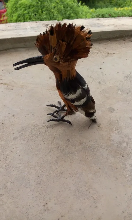 simulation Hoopoe bird 15x14cm Handmade craft model,polyethylene&furs feathers toy prop. home decoration Xmas gift w4140