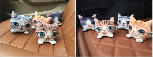 cats car styling.jpg