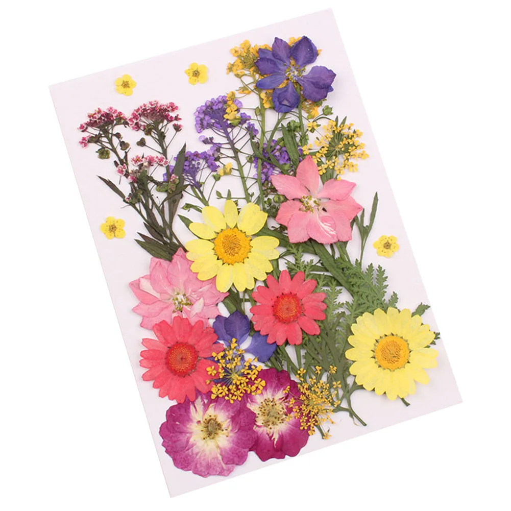 Прессованный цветок смешанные органические натуральные сушеные цветы портативная Коллекция DIY Искусство Цветочные Декорации коллекция подарок P7Ding - Цвет: A