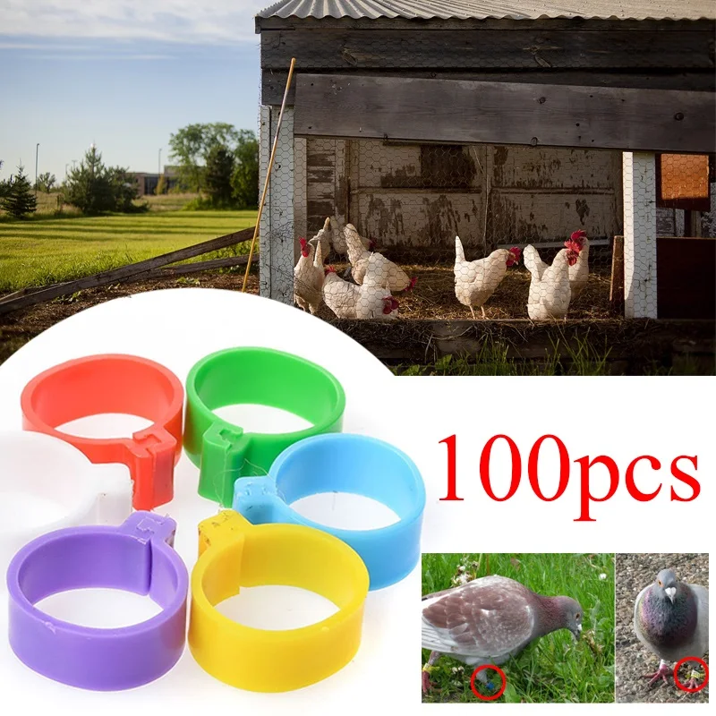 KYMLL Pigeon Foot Ring Digital Number Loop With Count Pet Accessories for Dove Poultry Birds Parrot Chick Light Yellow 