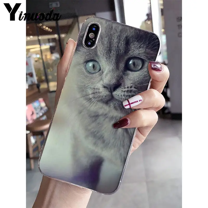 Yinuoda Британский короткошерстный Кот поделка-чехол для телефона для iPhone 5 5Sx 6 7plus 8 8Plus X XS MAX XR Fundas Capa