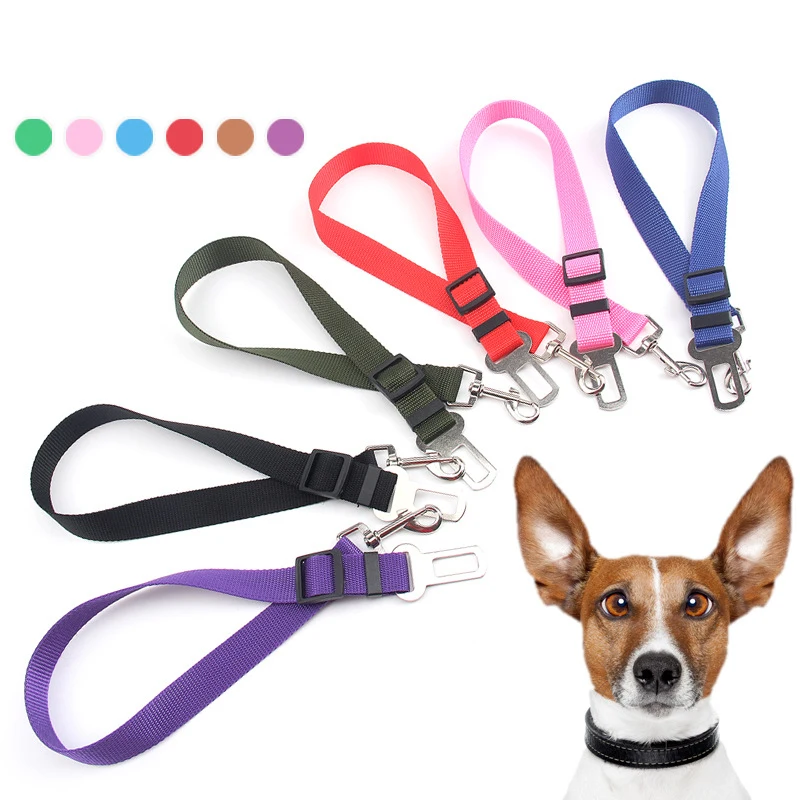 dog car seat belt pets at home