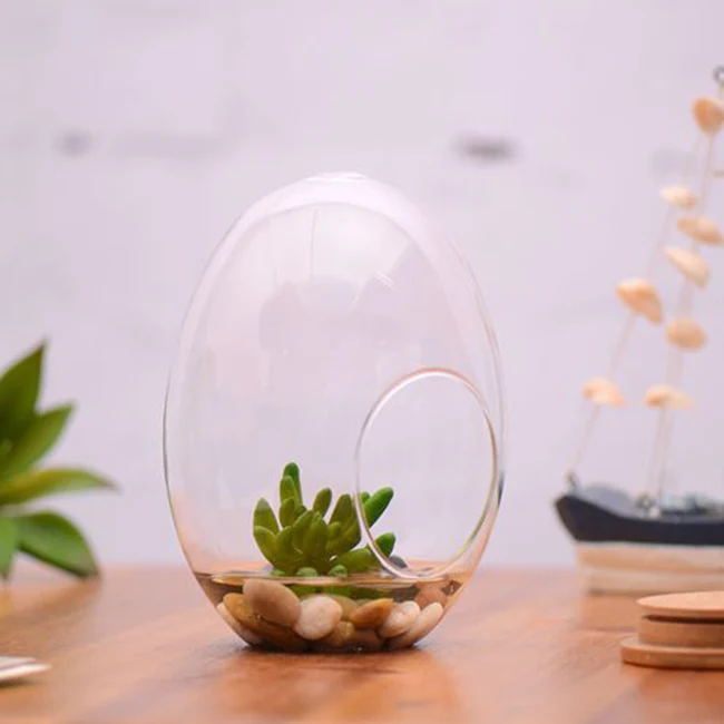 

Egg Shape Glass Garden Flower Planter Vase Terrarium Landscape Bottle Gift