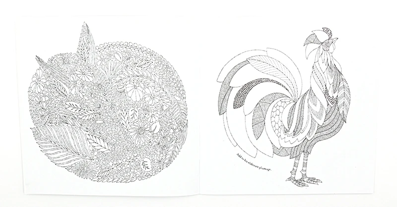 1 PCS 24 Pages Animal Kingdom English Edition Coloring Book For Children Adult Relieve Stress Kill Time Painting Drawing Book 1 PCS 24 Pages Animal Kingdom English Edition Coloring Book For Children Adult Relieve Stress Kill Time Painting Drawing Book