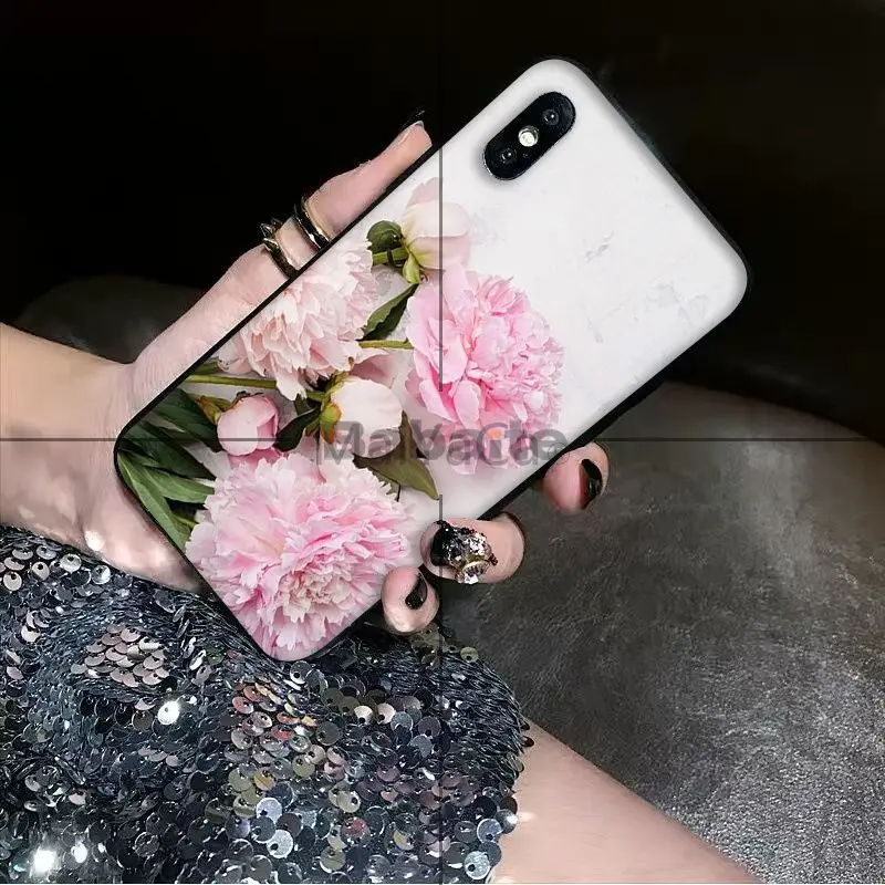 Nature and flowers Peony Rose