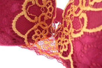 Hot sexy brassiere embroidered und