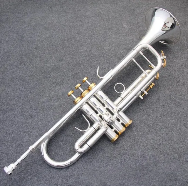 Baja trumpet Silver plated Baja trumpet instrument LT190S 77 Descending
