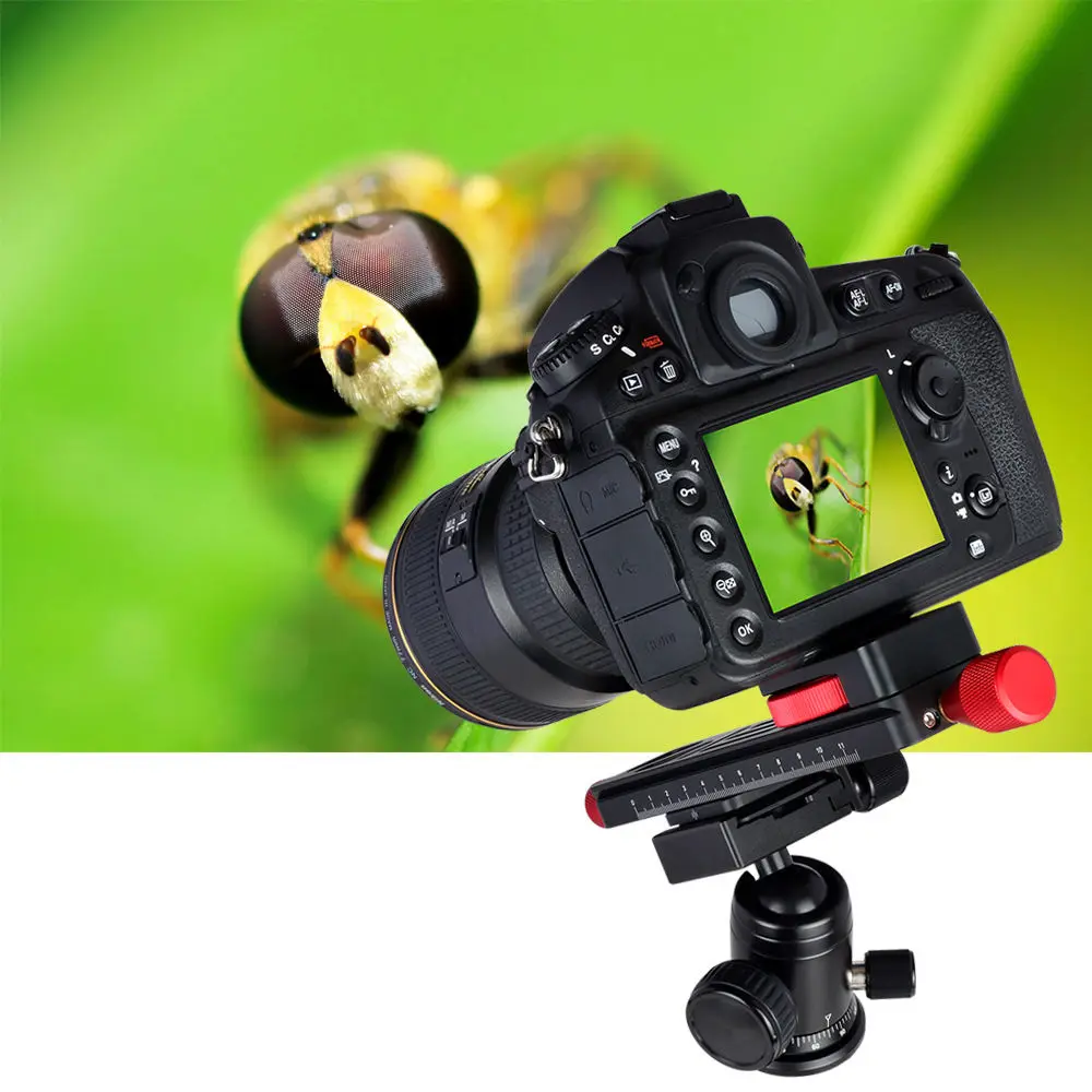Shooting Tripod Head