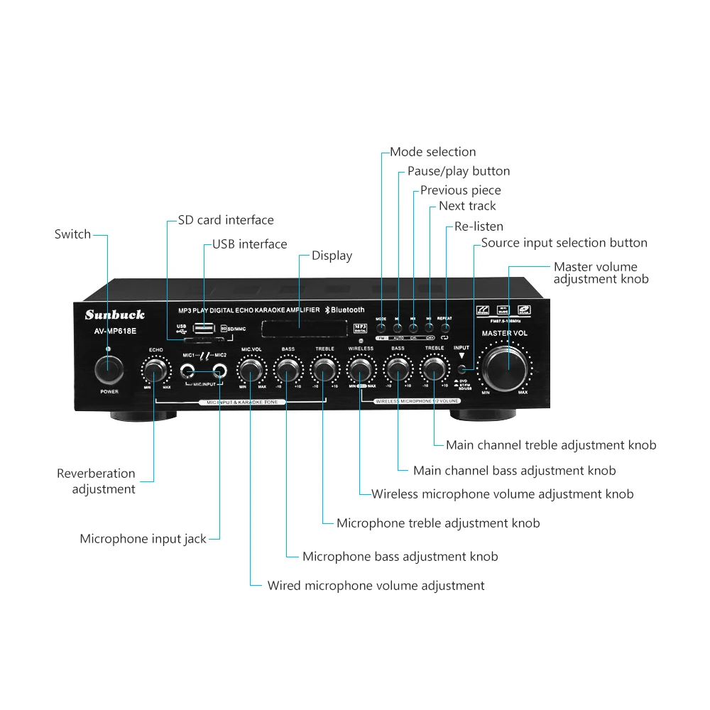 HiFi Цифровой звук аудио усилитель домашний кинотеатр караоке мощность динамик усилители 100Wx2 USB усилители с двумя беспроводными микрофоном