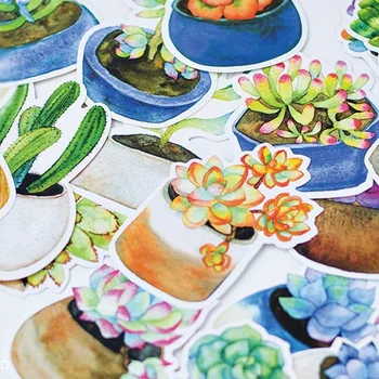 

30pcs Luminous succulent style card multi-use as Scrapbooking party invitation DIY Decoration gift card message card postcard