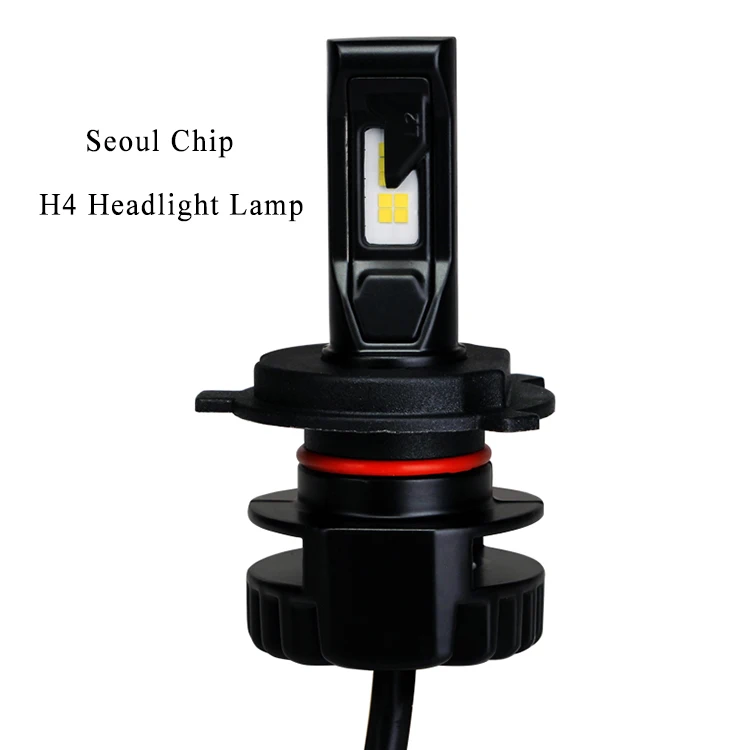 H4 chip