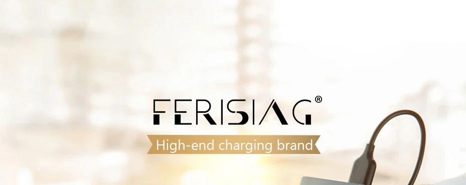 powerbank (1)