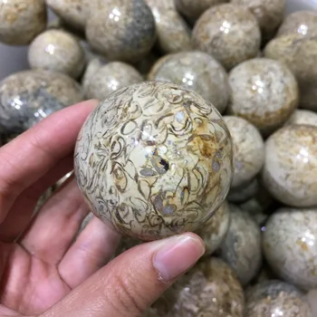 

dinosaur bones Quartz Crystal ball Natural fossil gemstone Magic sphere reiki healing