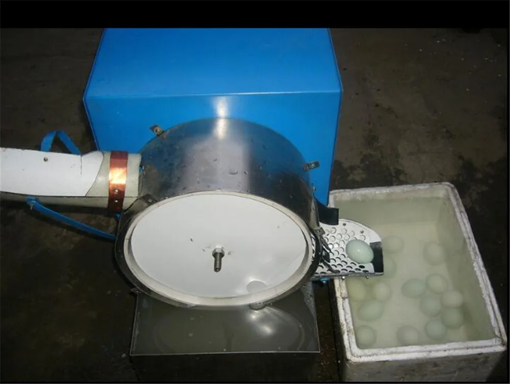 egg washing machine02
