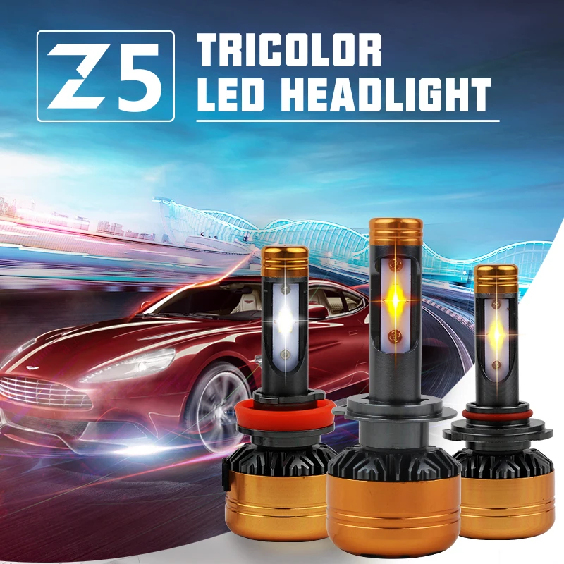 LHL-Z5 1