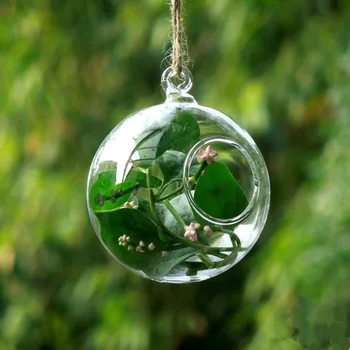 

Free Shipping Diameter=15cm 2pcs/pack Clear Glass Material Ball Terrarium with small hole Fresh Plants Bottle Home Decorative