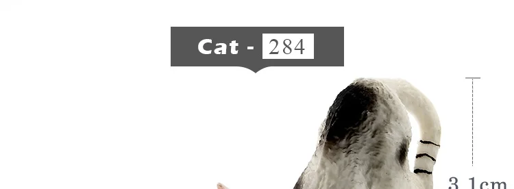 -8--MY6221_21