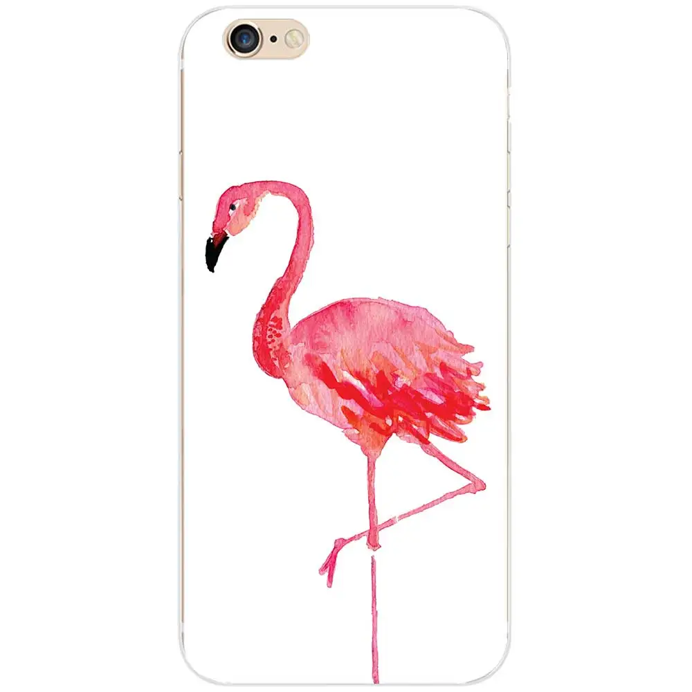 flamingos39