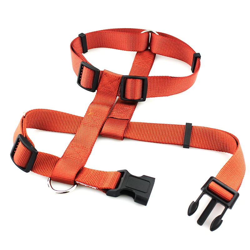 dog harness 3